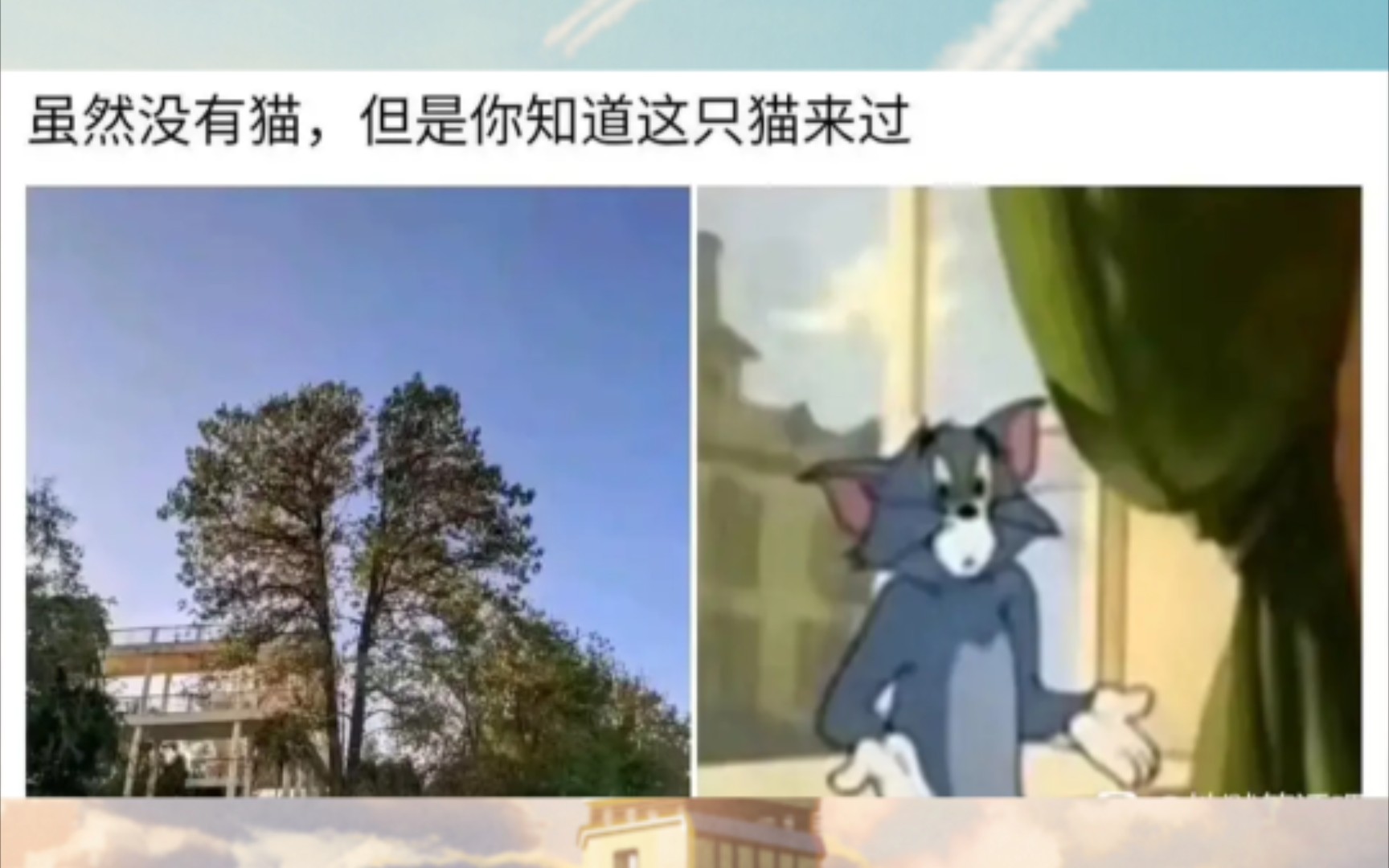 网络上的那些沙雕图118哔哩哔哩bilibili