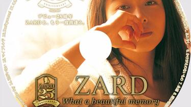 What a beautiful memory 〜25th Anniversary〜_哔哩哔哩_bilibili