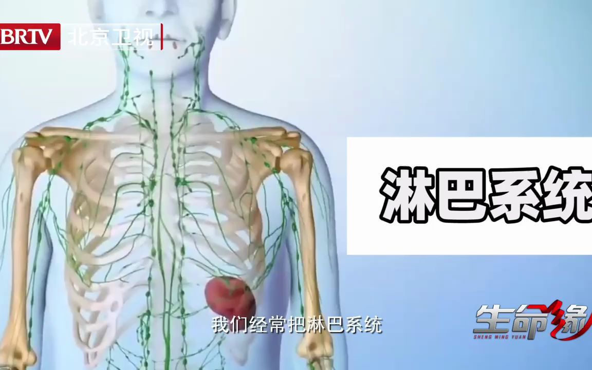 淋巴瘤是什么病?看完你就明白了哔哩哔哩bilibili