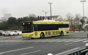 旧版：家门口的线路（经常拍）【初一之旅】家门口的线路（浦南南村东）常州公交302路视频混剪