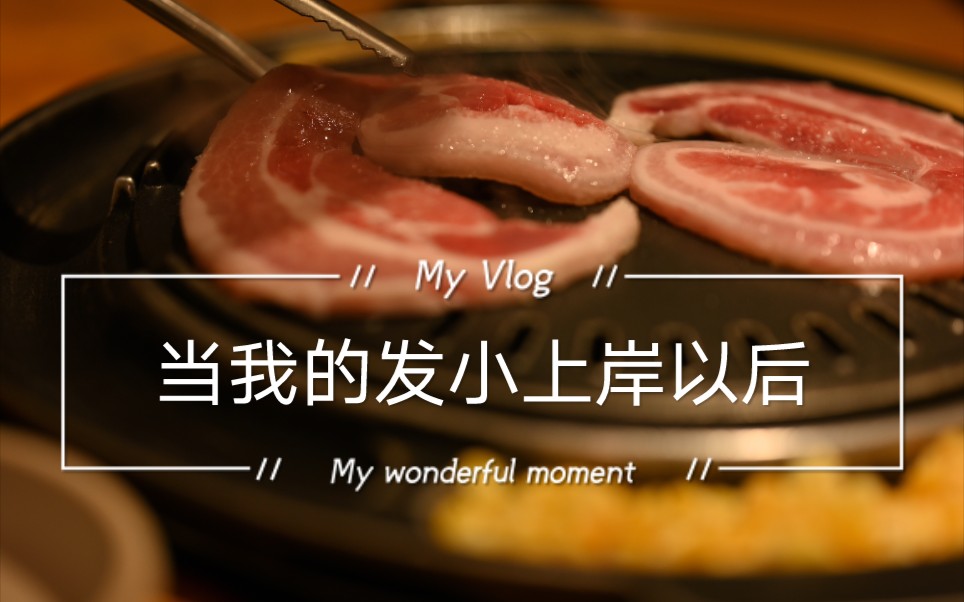 [图]「VLOG」5：《教父4》 豆瓣评分3.0