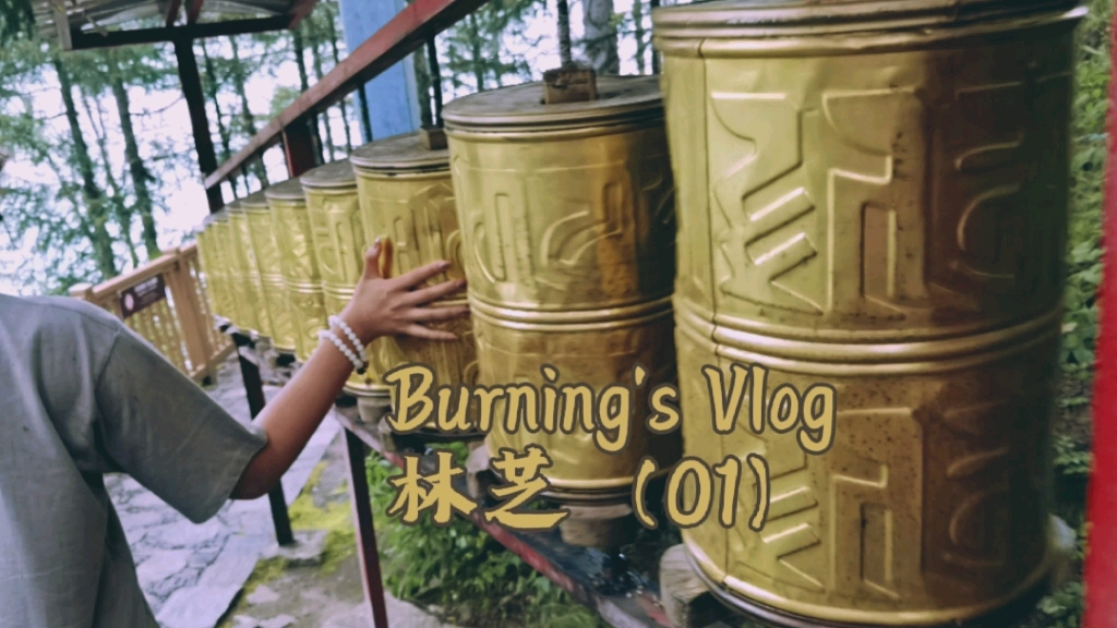 Burning's Vlog 林芝(01)哔哩哔哩bilibili