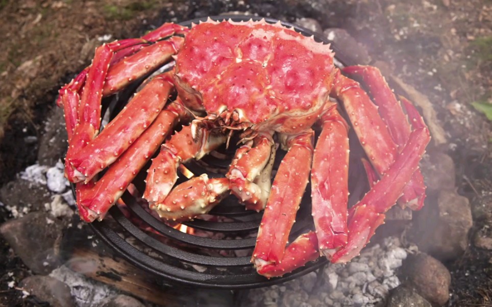 帝王蟹烧烤,户外这么玩?这个本可下足了!