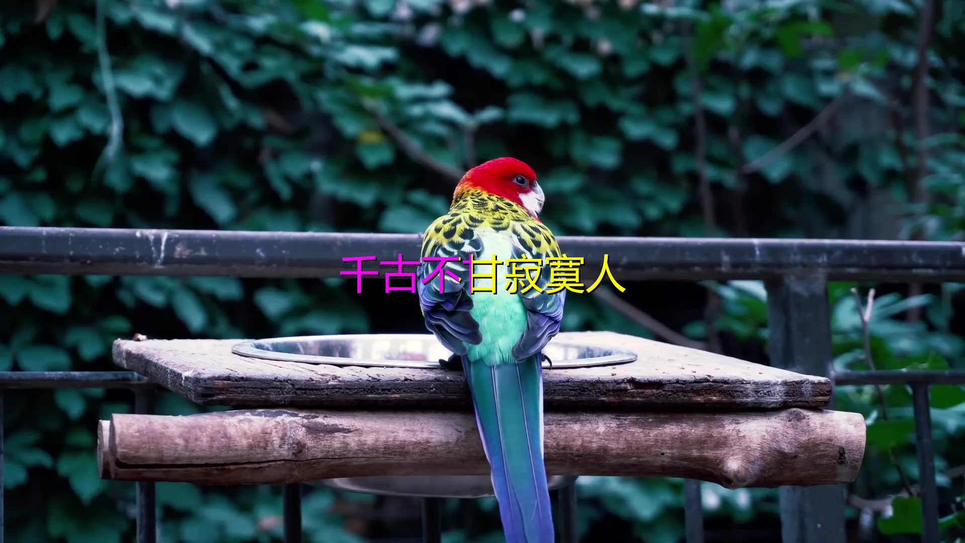 客梦8090年代好听经典老歌周杰伦mizuki霍元甲aliez混音版