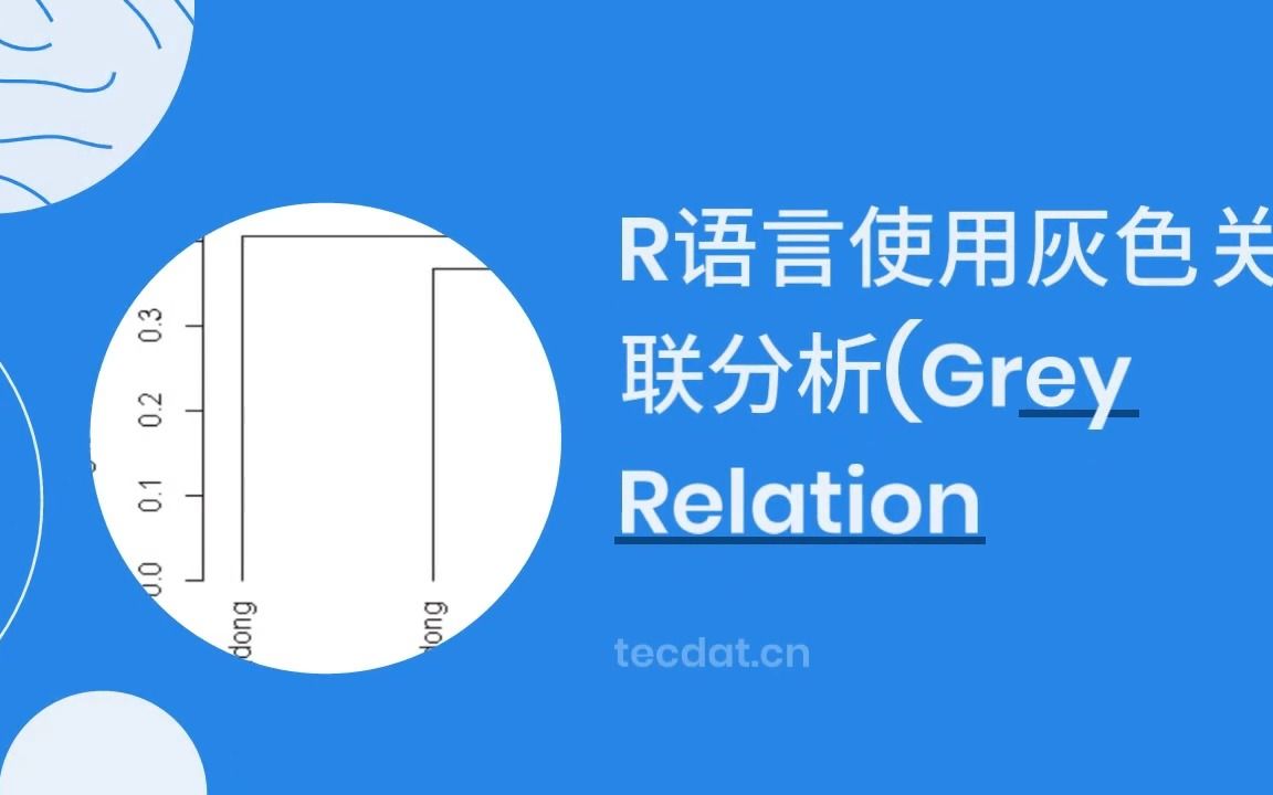 R语言使用灰色关联分析(Grey Relation Analysis,GRA)中国经济社会发展指标哔哩哔哩bilibili