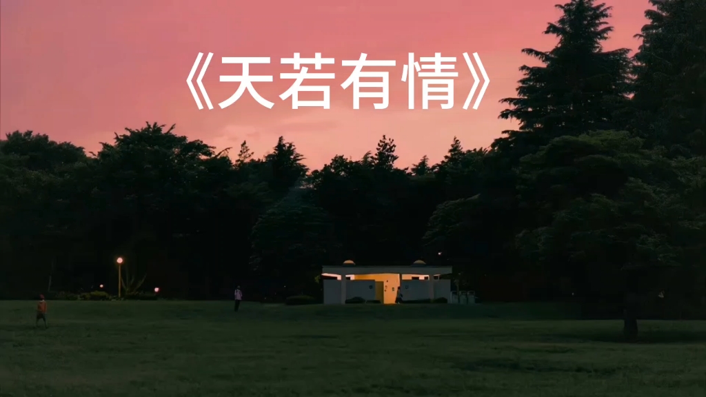 最好的爱是陪伴,最好的风景是与你同看.
