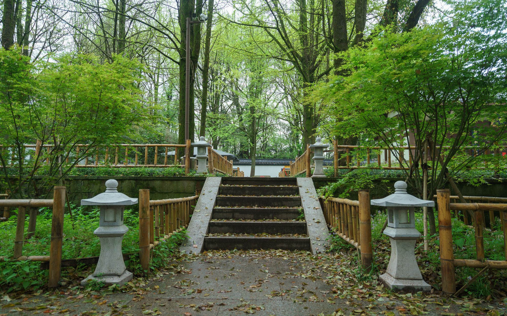 深山古寺,竹径磬声 | 清明采茶季,云栖竹径轻徒步哔哩哔哩bilibili