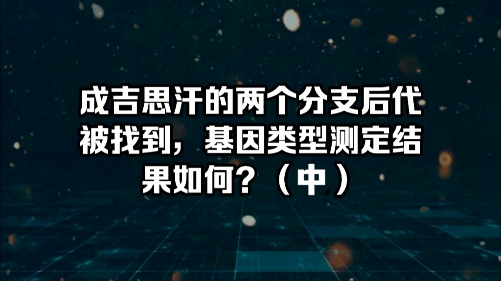 成吉思汗的两个分支后代被找到,基因类型测定结果如何?(中)哔哩哔哩bilibili