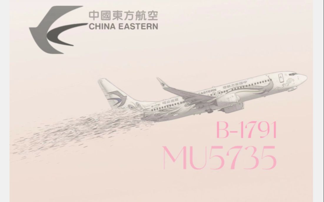 中国东方航空B-1791图片