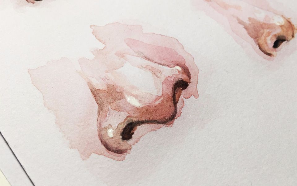 练习 鼻子水彩练习视频_哔哩哔哩 (゜-゜)つロ 干杯~-bilibili