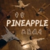 【V6】PINEAPPLE - MV 中字 画质提升