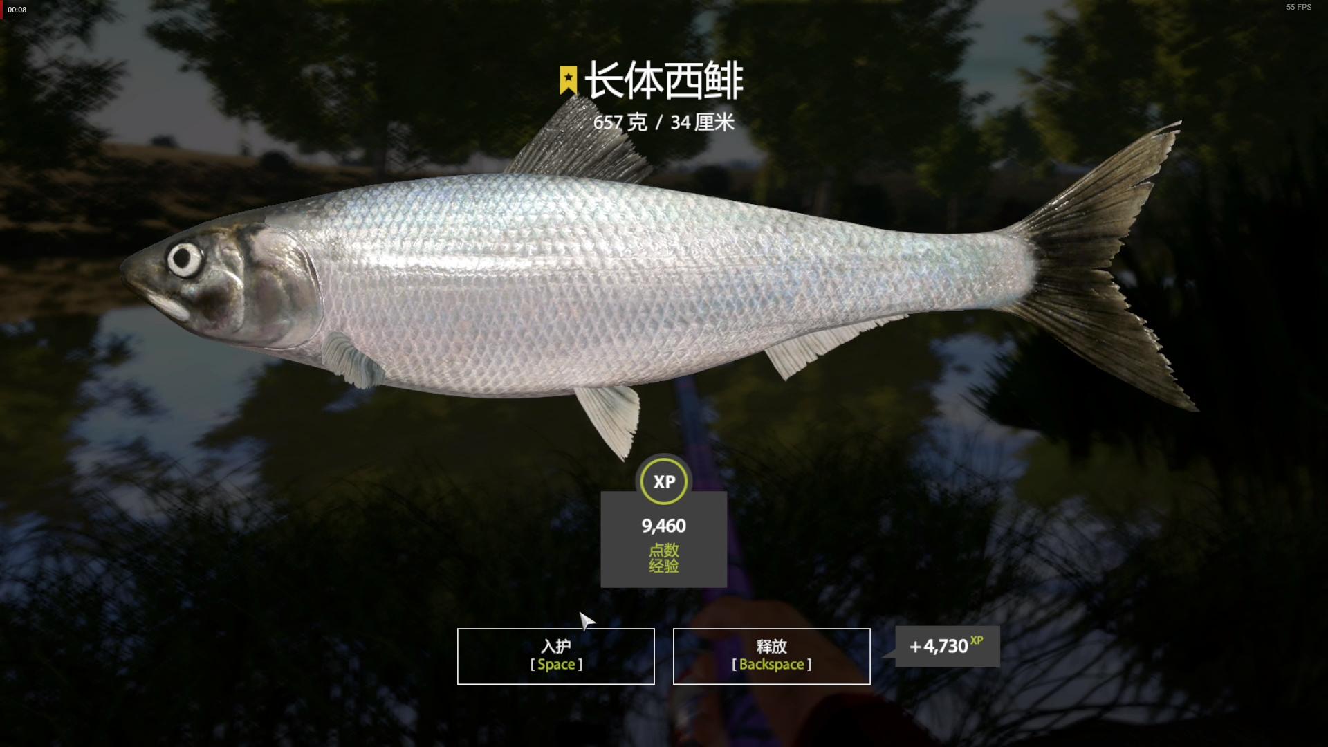 俄钓4~郑经理的钓鱼佬空军日记 22图 长体西鲱鱼 上星