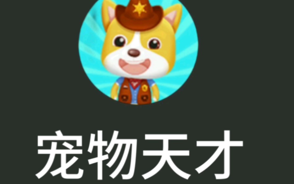 宠物天才!启动!