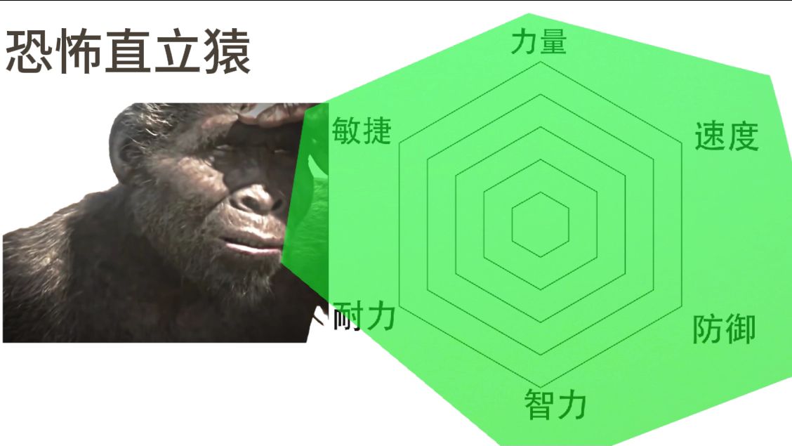 陆地动物战力面板（纯主观，不分排名）