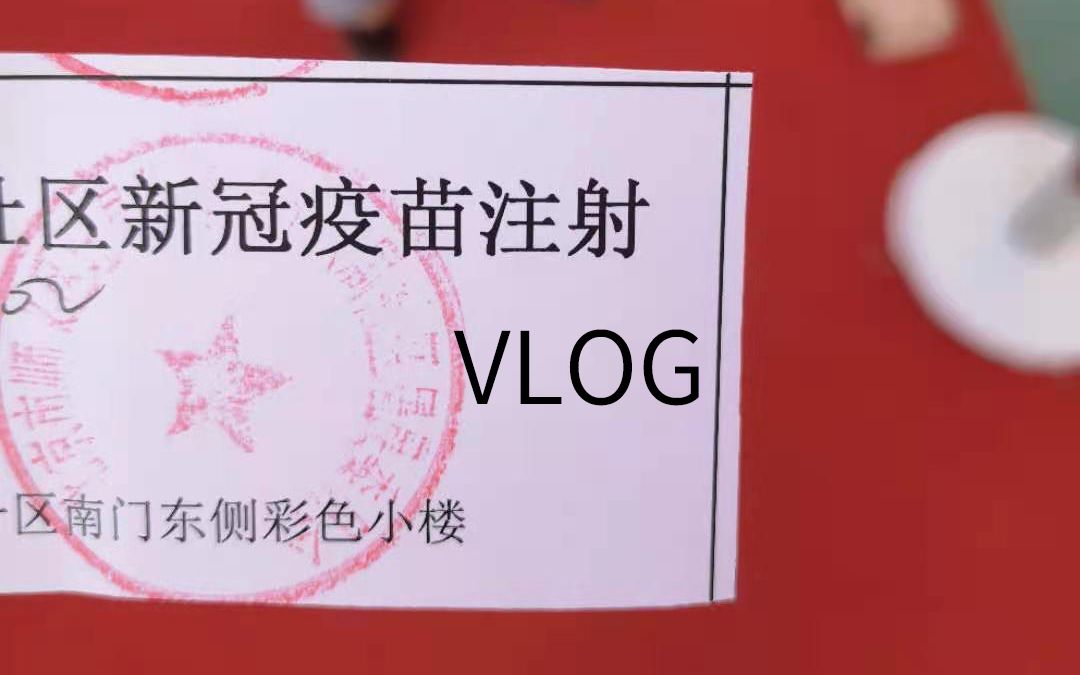 【Vlog】0221 周日外出记录哔哩哔哩bilibili