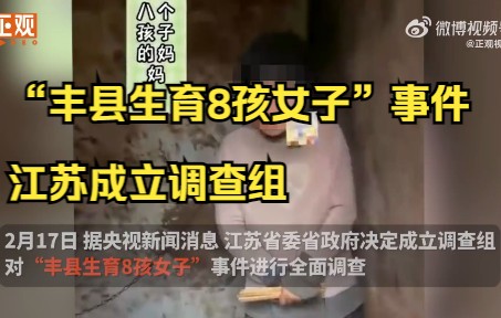 江苏省委省政府成立“丰县生育8孩女子”事件调查组:全面彻查哔哩哔哩bilibili