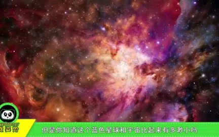 小小1粒沙幼儿舞蹈