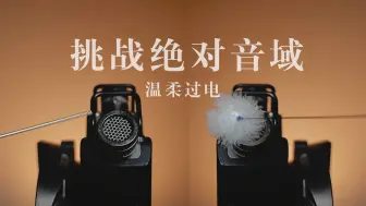 Download Video: 【杨杨助眠】挑战你的老耳朵！禁忌音域，温柔穿脑过电。摸小木棍，耳膜发麻