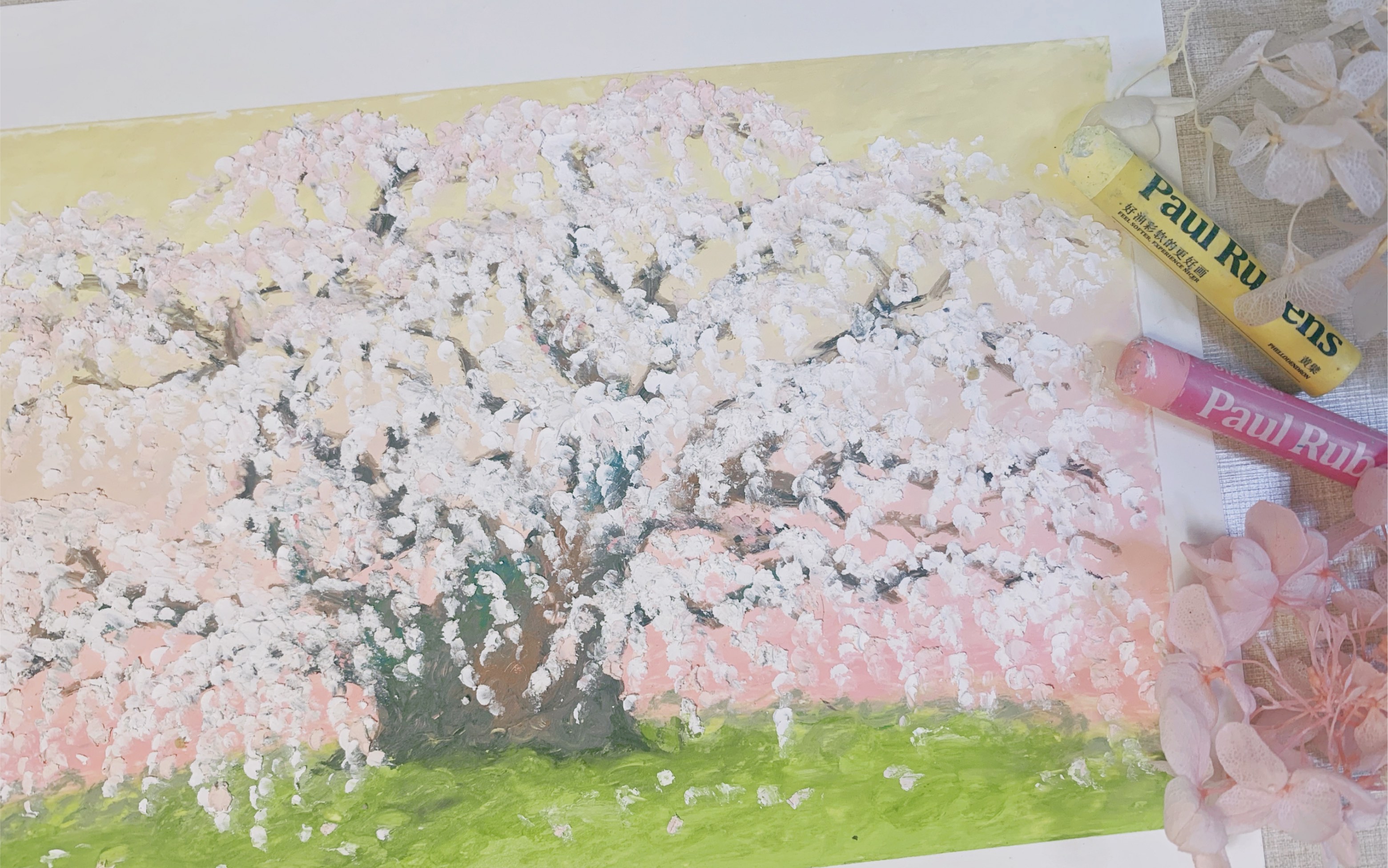 樱花树蜡笔画图片