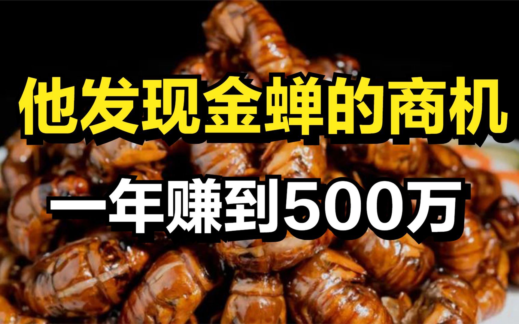 农村小伙意外发现金蝉的商机,一亩地能净赚1万元,一年赚到500万哔哩哔哩bilibili