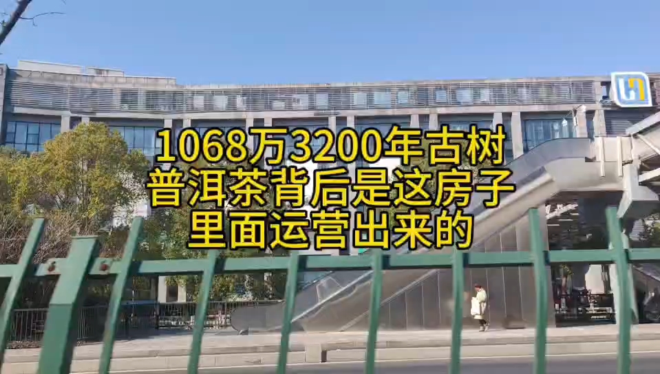 1068万3200年古树普洱茶背后就是这房里里面运营出来的哔哩哔哩bilibili