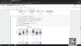 【数据可视化】seaborn绘制小提琴图 python一对一视频讲解 经典实战 朝天吼数据