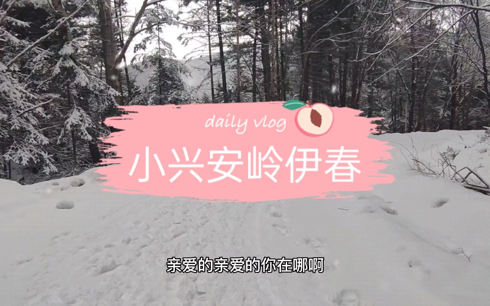 小兴安岭伊春雪景哔哩哔哩bilibili