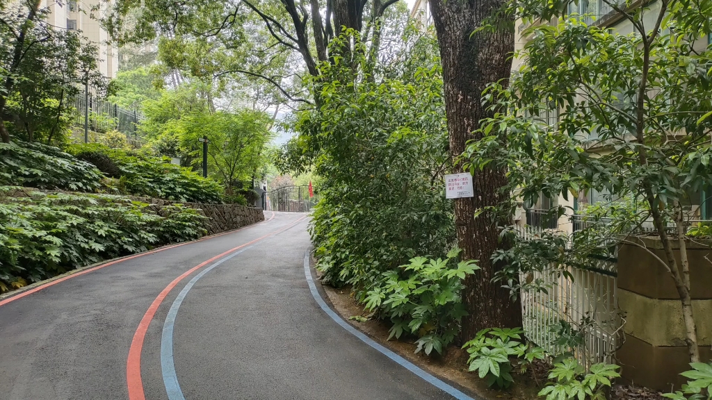 南昌湾里磨盘山森林公园游记