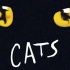 【Cats】1998+【Mozart】德版 部分精彩片段