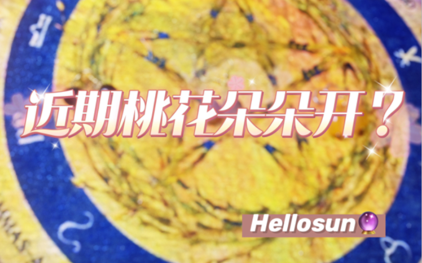 【hellosun塔罗】近期桃花运势?能不能脱单?哔哩哔哩bilibili