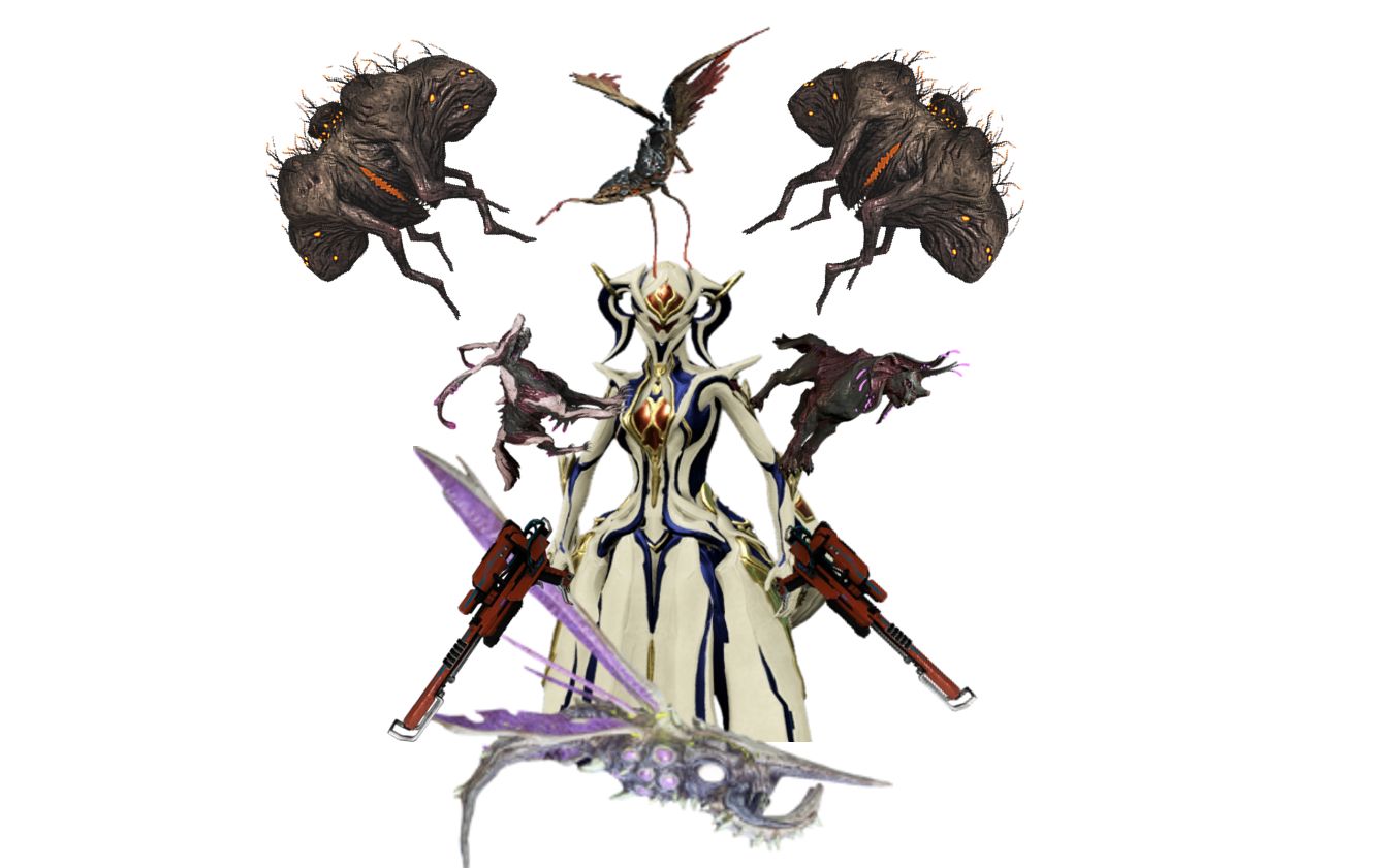 warframe紫色迅捷虫,warframe紫色迅敏节虫怎么抓