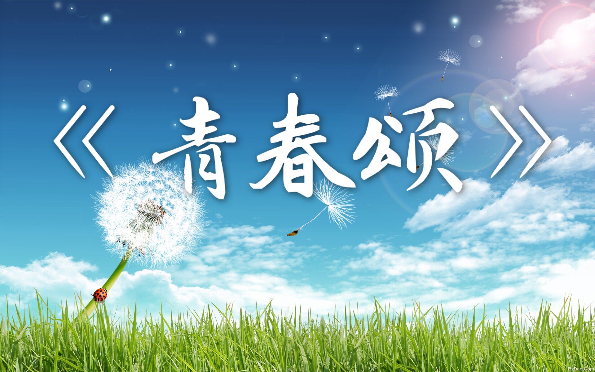 【原创】《青春颂》钢琴吉他纯音乐——musician lc_哔哩哔哩 (゜-゜)