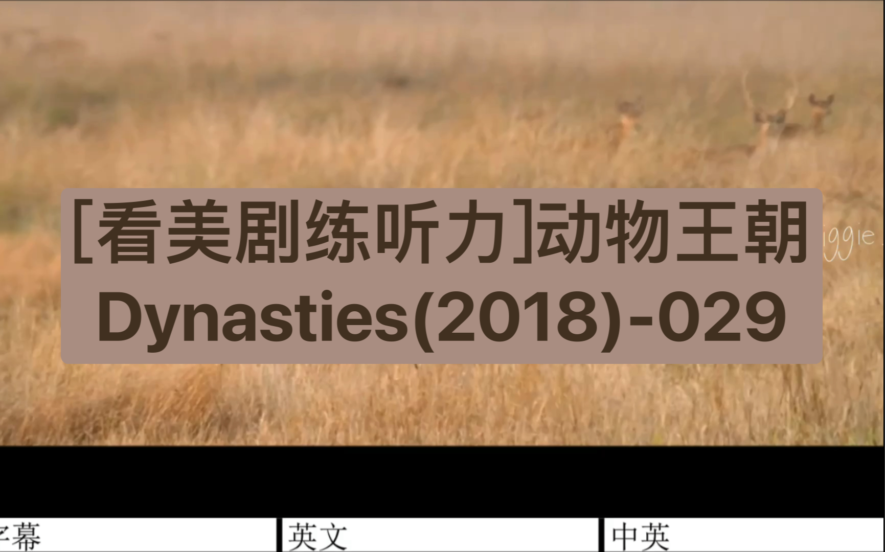 [图][看美剧练听力]动物王朝Dynasties(2018)-029