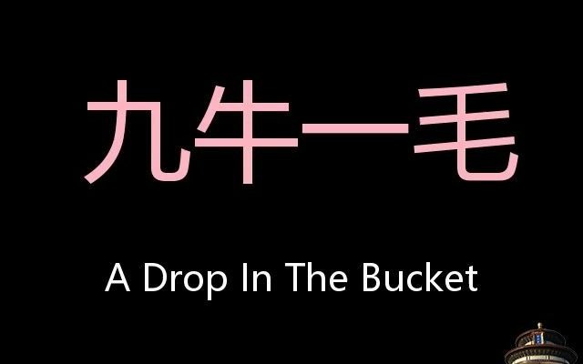 九牛一毛 Chinese Pronunciation a drop in the bucket哔哩哔哩bilibili