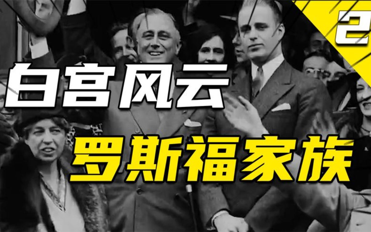 跟大资本过不去的两任总统,罗斯福家族为何卸磨杀驴?哔哩哔哩bilibili