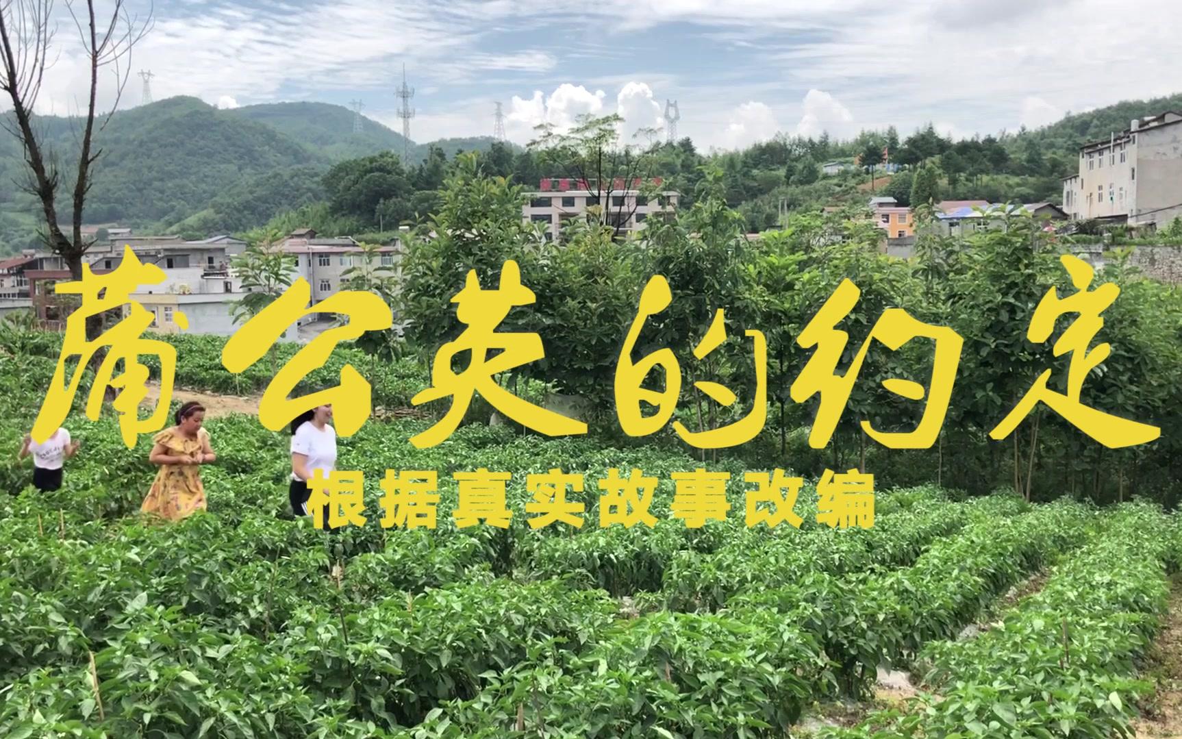 湖北第二师范学院志愿者微电影蒲公英的约定