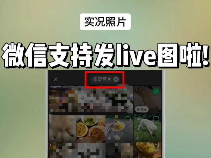 微信8.0.51版本|朋友圈可以发实况照片啦哔哩哔哩bilibili