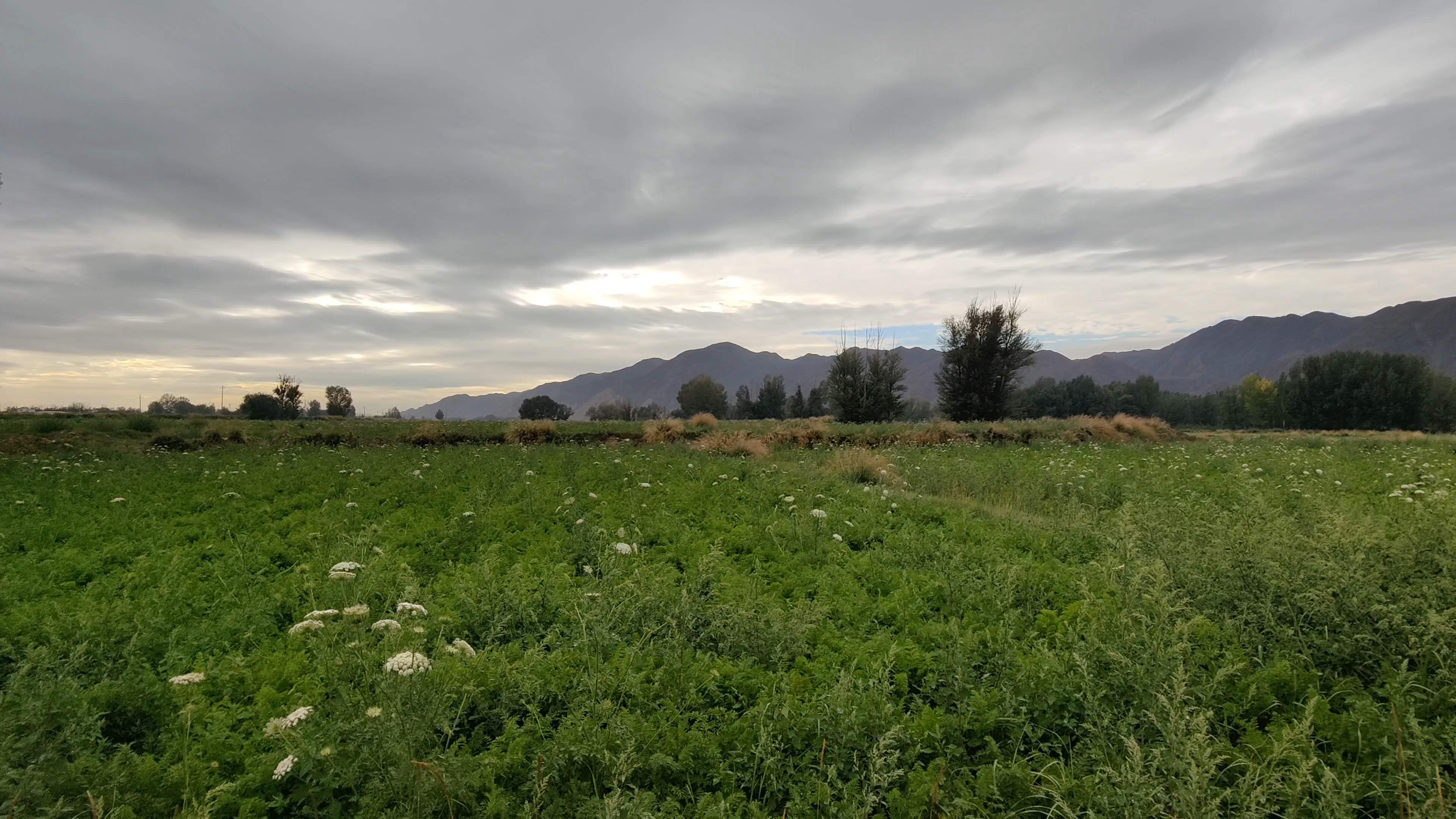 乡村田野间的风景