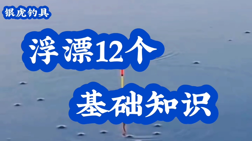 浮漂12个基础知识,哔哩哔哩bilibili