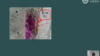 11-第三章第五节混凝土碳化深度的检测方法、第六-八节混凝土电阻率的检测方法、钢结构试验检测、第九节地质雷达法
