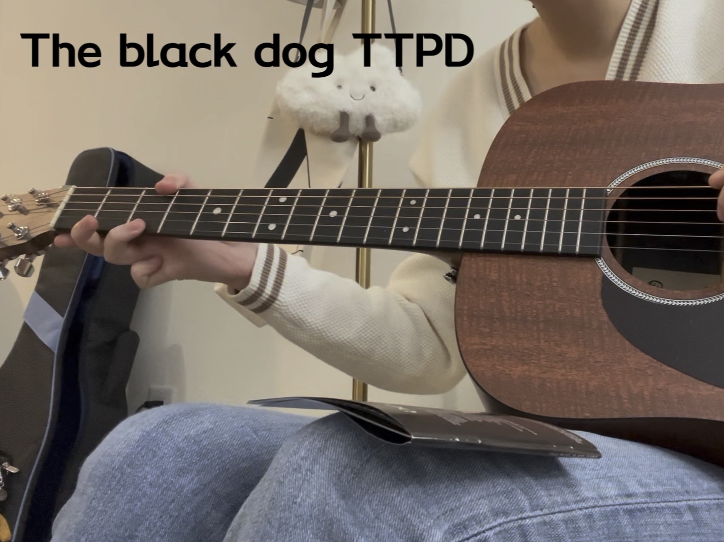 [图]The black dog (Acoustic Cover)