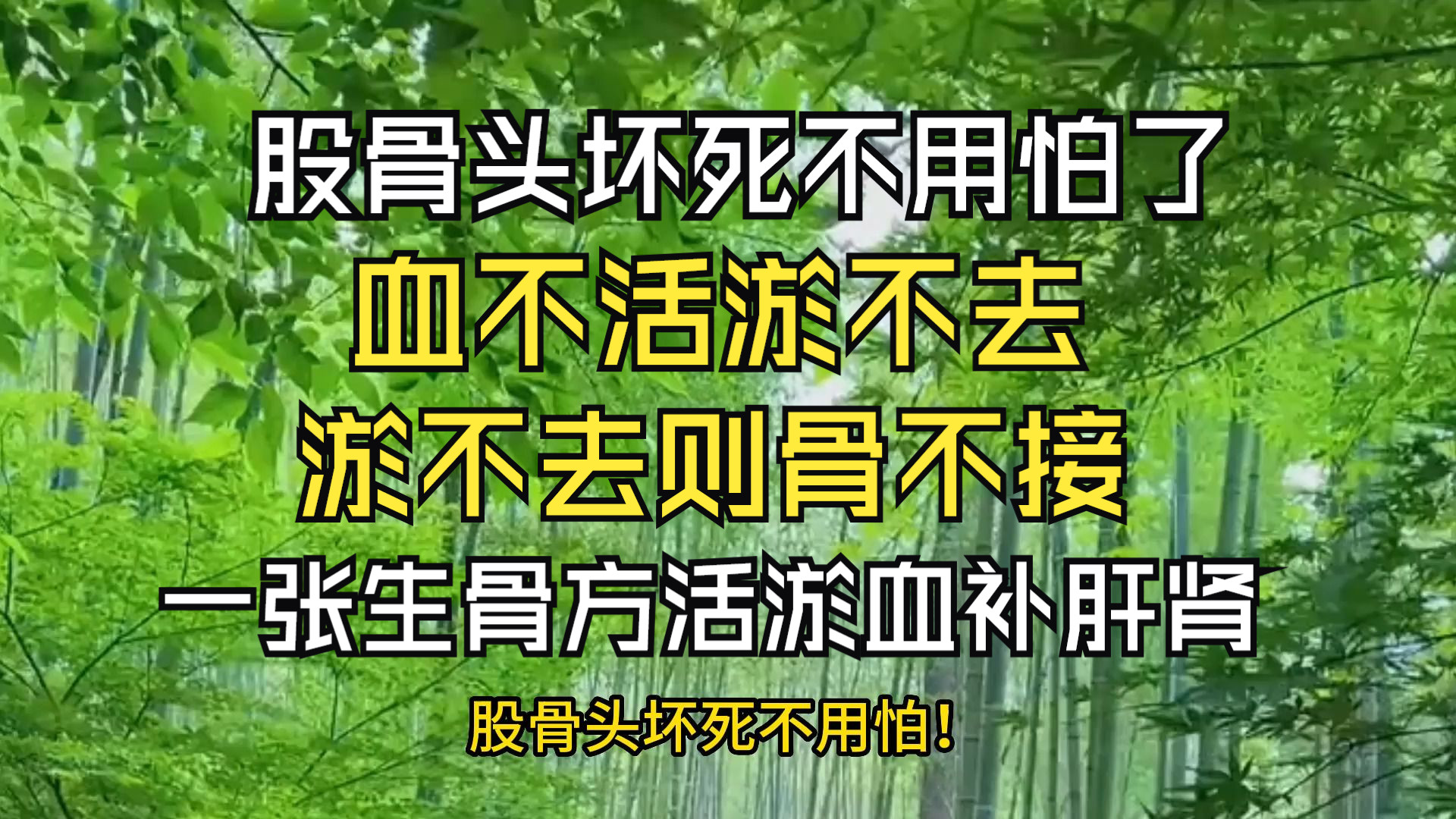 股骨头坏死不用怕!血不活淤不去,淤不去则骨不接,一张生骨方,不仅活淤血舒筋络,还止疼!哔哩哔哩bilibili