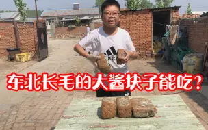 Télécharger la video: 东北长毛的大酱块子能吃？农村小伙教科书式解说，这玩意确实神奇