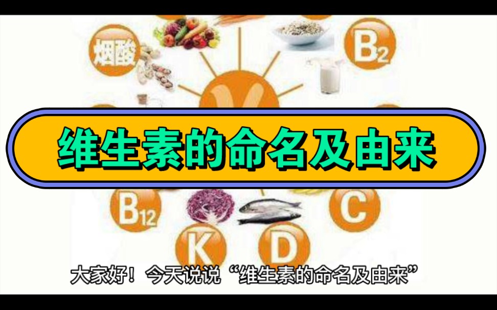 维生素的命名及由来哔哩哔哩bilibili