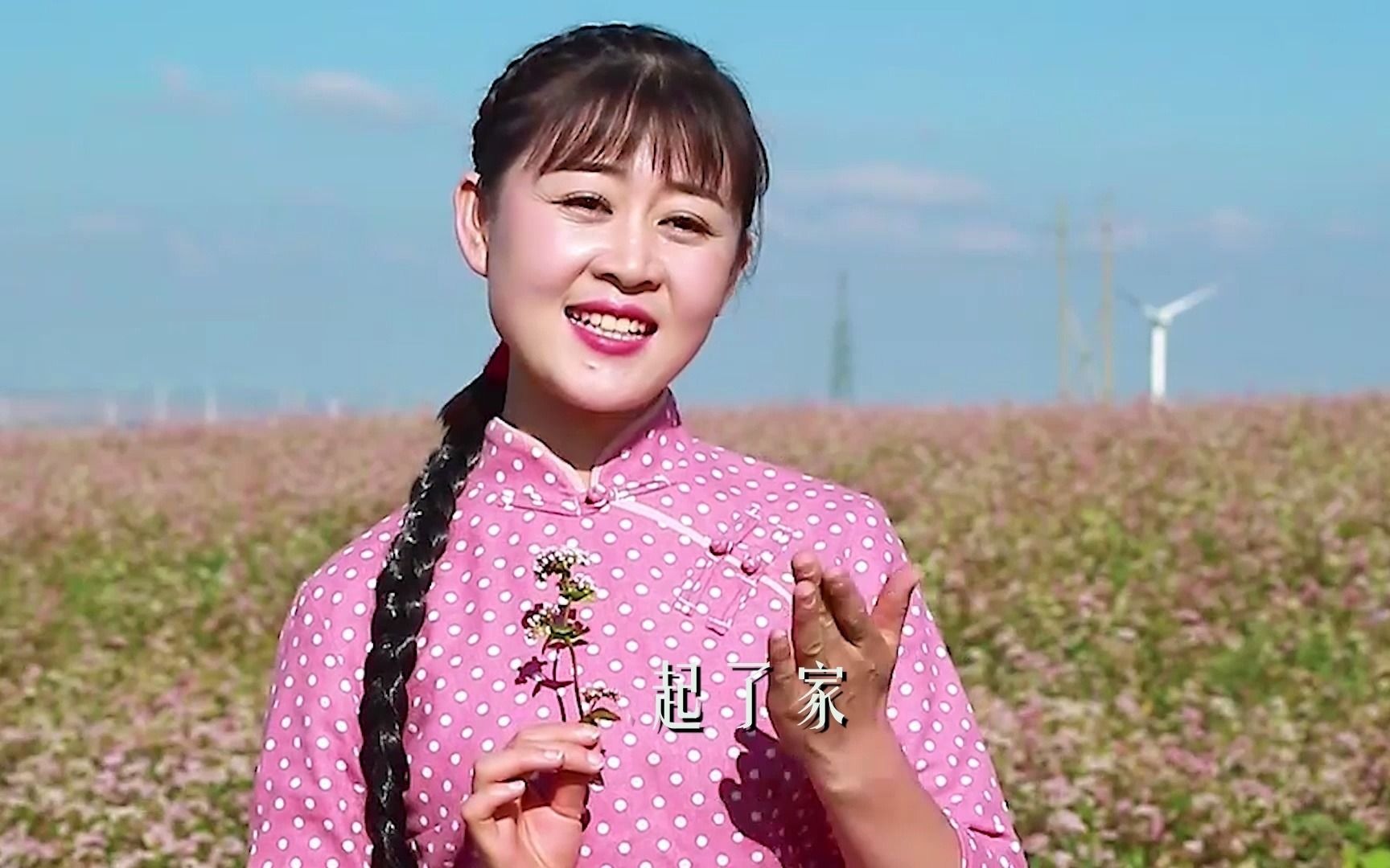张秀田一首《荞麦花》歌甜花美人更美!