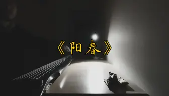 杉木大伏羲•琴号洪武•《阳春》•万字招牌斫