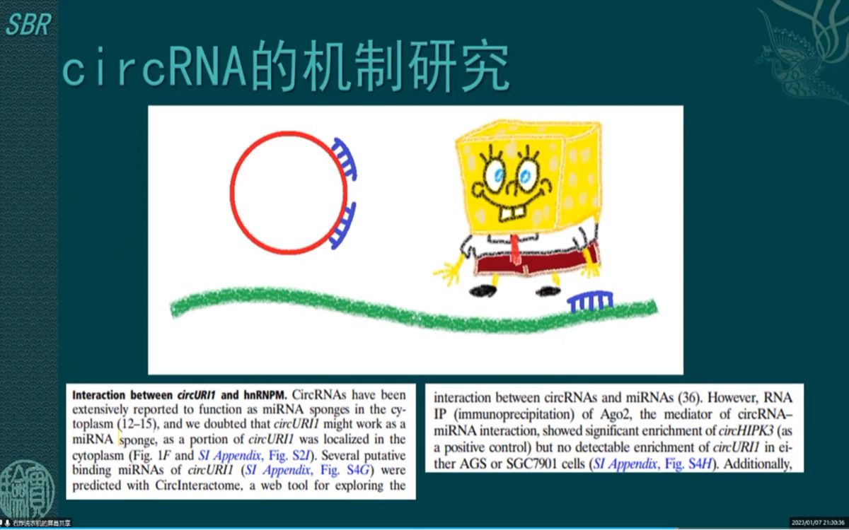 第三期(上)12.779分的PNAS是这样研究circRNA的,这可比MC上的文章强太多了……哔哩哔哩bilibili