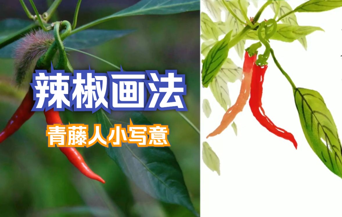 青藤人国画辣椒画法