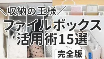 2 Vlog Koan杏子媽媽 生活收納文件書類家電說明書收納整理muji無印良品文件盒日式涼面爸爸做珍珠奶茶 哔哩哔哩 Bilibili