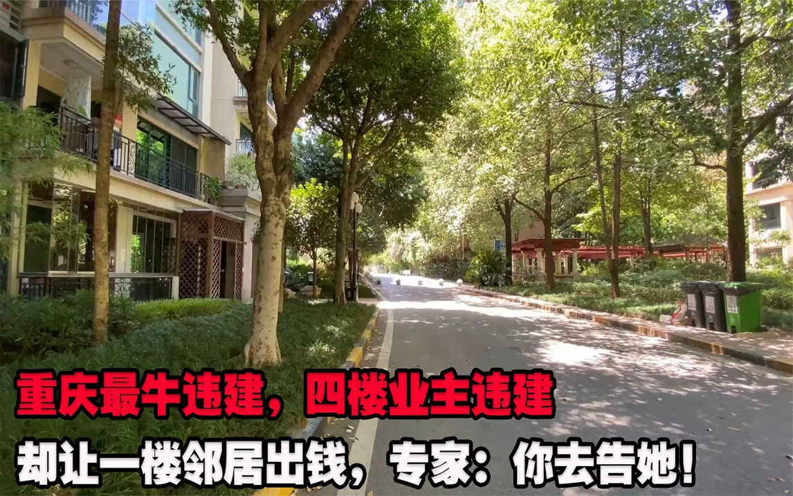 重庆最牛违建,四楼业主违建却让一楼邻居出钱,专家:你去告她!哔哩哔哩bilibili